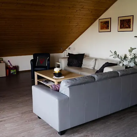 Haus Salamander Apartment