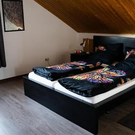 Haus Salamander Apartment *