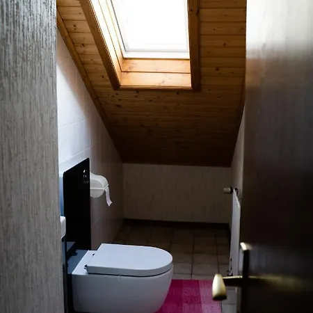 Haus Salamander Apartment