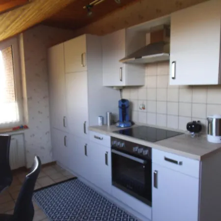 Haus Salamander Apartment *