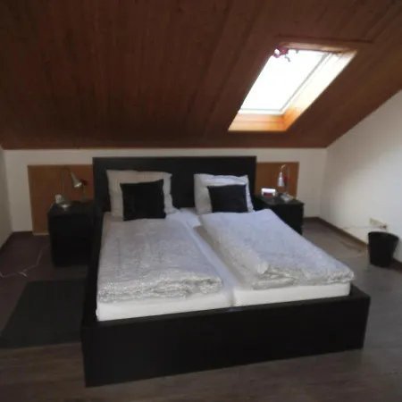 Haus Salamander Apartment *